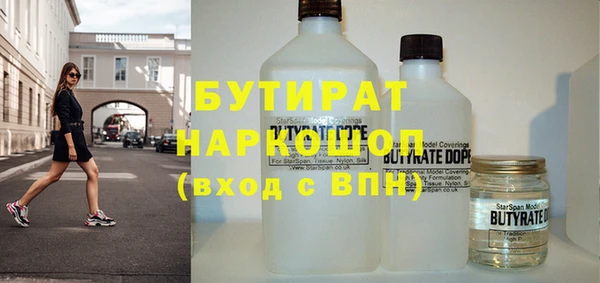 шишки Ельня